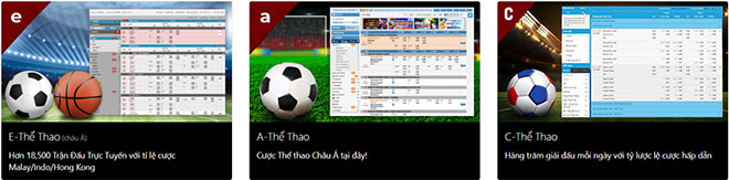 thể thao Vn88