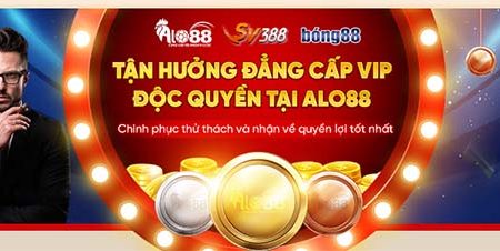 Tìm hiểu thành viên VIP tại alo88 đối với tài khoản Viva88